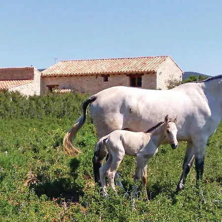 6 Bedroom Awesome In La Salzadella Holiday home Mas D'en Rieres